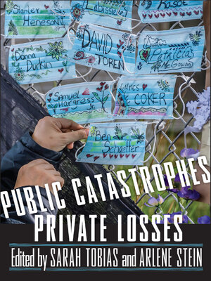 cover image of Public Catastrophes, Private Losses